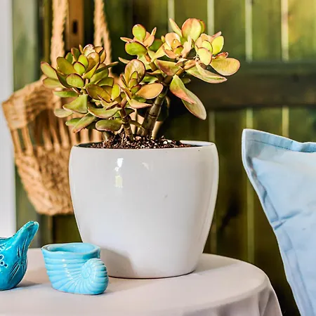 Villino Le Pavoncelle Villa